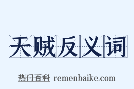 天贼反义词是什么意思的图片